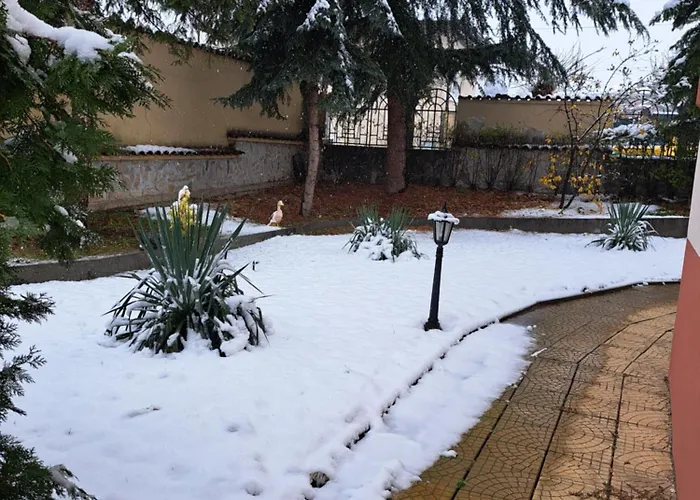 славина къща *